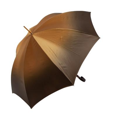 Зонт Pasotti C0173