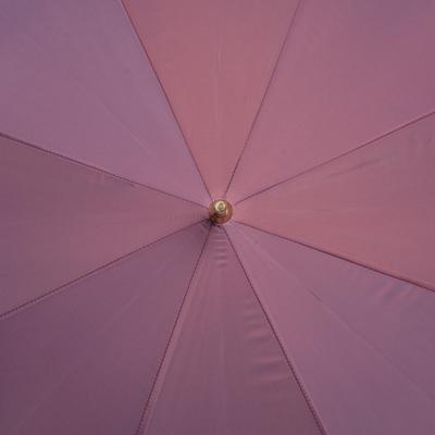 Зонт Pasotti C0178
