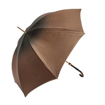 Зонт Pasotti C0182