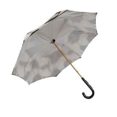 Зонт Pasotti C0189