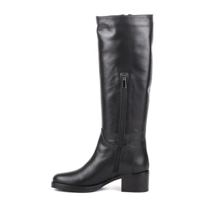 Сапоги Corsani Firenze T0891
