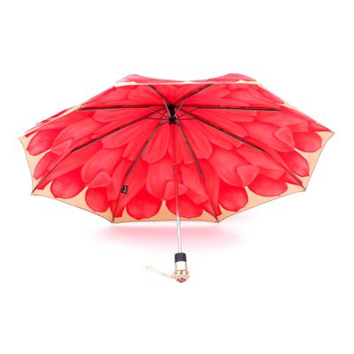 Зонт Pasotti T2525
